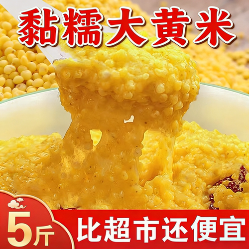 东北大黄米新米糯小米早餐
