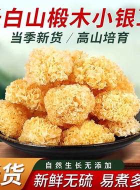 椴木小银耳古田特产干货白木耳雪耳糯耳羹新鲜无硫熏出胶银耳羹