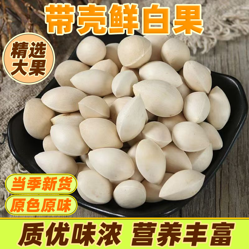 银杏果生白果秋季当季新鲜生白果银杏果天然冬季滋补冬季化痰止咳