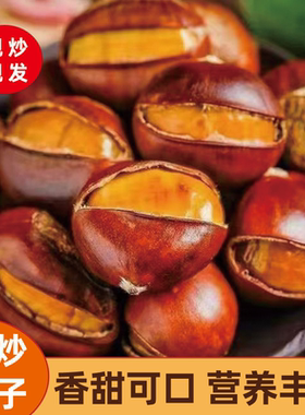 正宗即食熟板栗开口带壳炒熟栗子坚果烤栗子糖炒栗子休闲新货零食