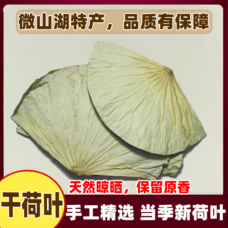 整张干荷叶大张叫花鸡荷叶鸡包糯米鸡荷叶粥新鲜干荷叶粽叶商用