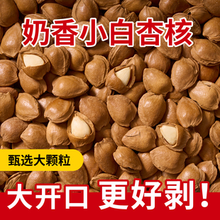 小银杏新疆特产开口杏核奶香味带壳袋装坚果散装生杏仁炒货零食