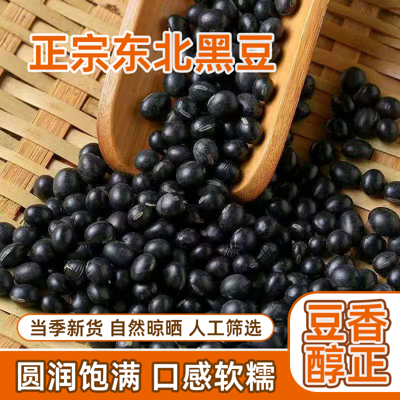 超低价正宗黑豆东北当季新货新鲜农家纯正泡非转基因豆芽豆浆自产