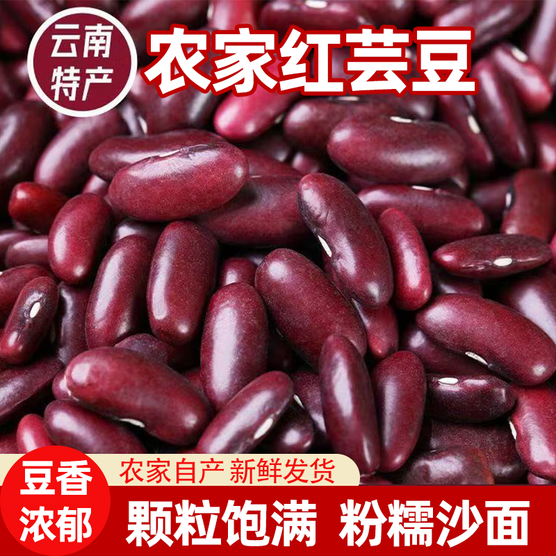 新货大红豆云南红腰豆商用五谷杂粮新鲜农家红芸豆散装批发量价优