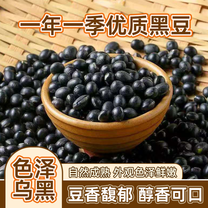 正宗黑豆东北农家自种黑豆打豆浆专用纯天然补血新货鲜香五谷杂粮