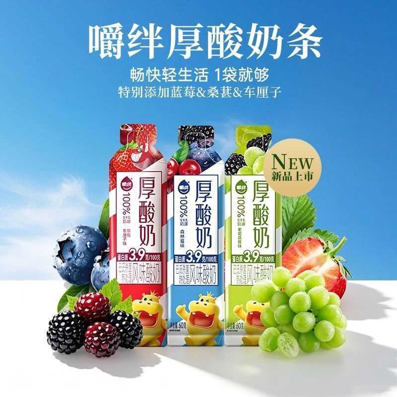 新日期/嚼绊可劲造厚酸奶60g整箱装生牛乳发酵代餐酸牛奶厚酸奶条