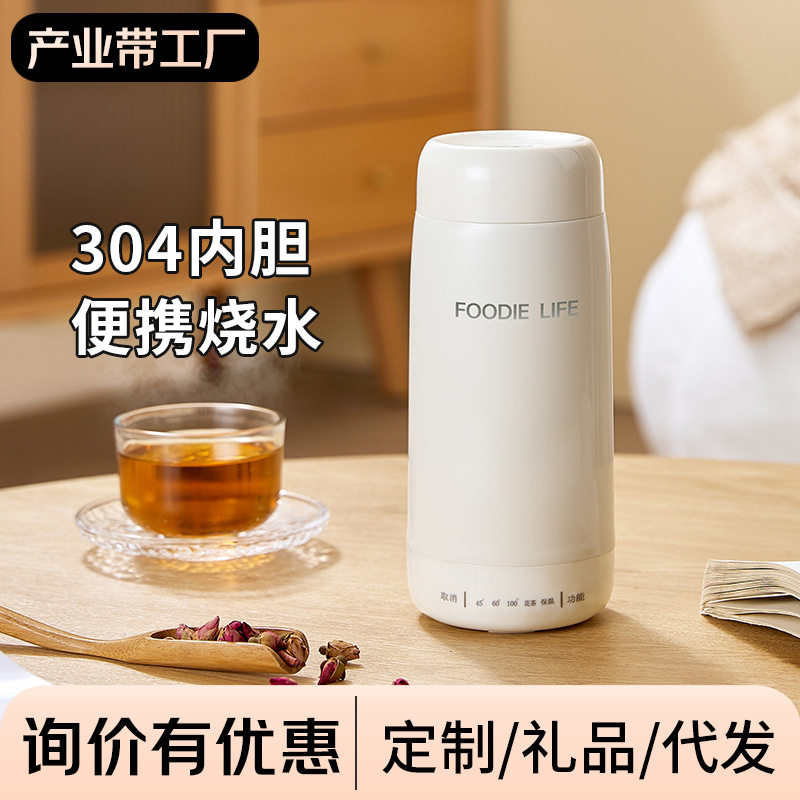 电热杯小型烧水壶便携式旅行携带电加热水杯保温一体壶迷你电热杯