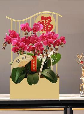 新中式花盆红色铁艺客厅桌面冬青蝴蝶兰银柳年宵花插花花器花篮
