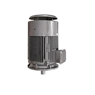 鸿泰三相异步节能电机YE3 215KWt380V工作制S1损耗低 160M2