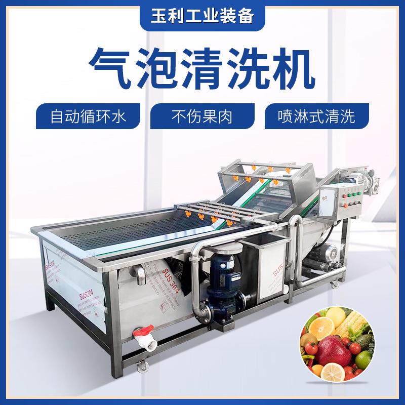 水果气泡清洗机 喷淋瓜果葡萄西红柿桃子清洗设备 辣椒清洗设备