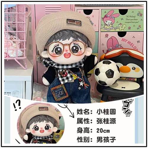 TF四代小桂圆张桂源棉花娃娃20CM明星玩偶毛绒玩具Q版公仔出生证