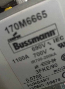 170M6662 170M6663 170M6664 170M6665 170M6667 170M6668熔断器