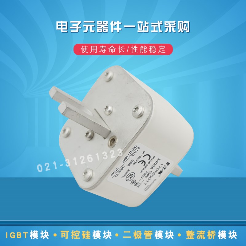 170M6017 170M6018 170M6019 170M6020 170M6021巴斯曼熔断器现货