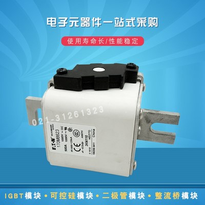 170M8621 8622 8623 8624 8625 8626 8627 8629快速熔断器保险丝