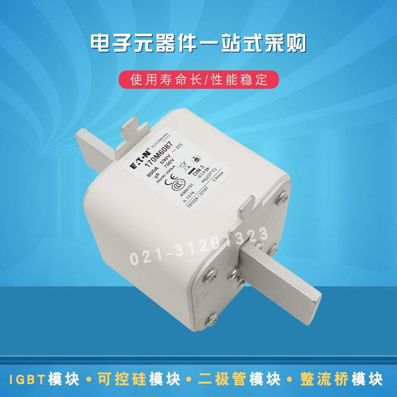 巴斯曼熔断器170M6087 6094 6103 6108 6109 6110 6111 6112 6113