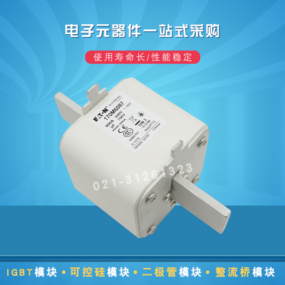巴斯曼熔断器170M6087 6094 6103 6108 6109 6110 6111 6112 6113