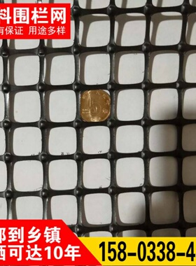 。塑料养殖网养鸡围栏网防护网拦鸡网塑料网栅栏黑色胶网育雏漏粪