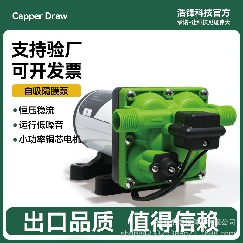 静音房车水泵自动110V电动隔膜泵220V小型直流抽水泵游艇专用自吸