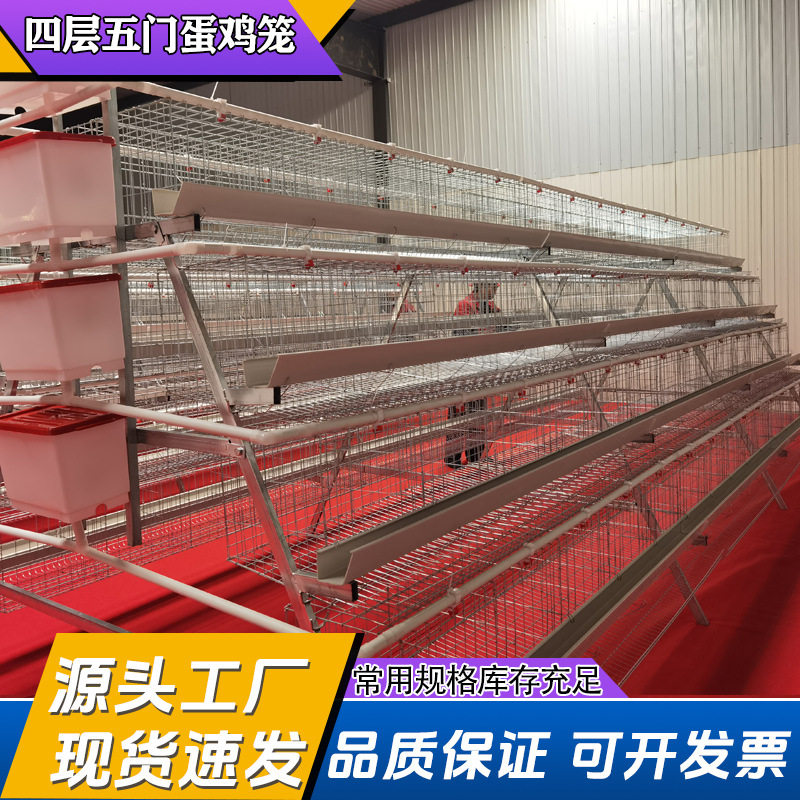 阶梯蛋鸡笼加厚方管白槽错层易清理提拉门热镀三层四层养殖场专用
