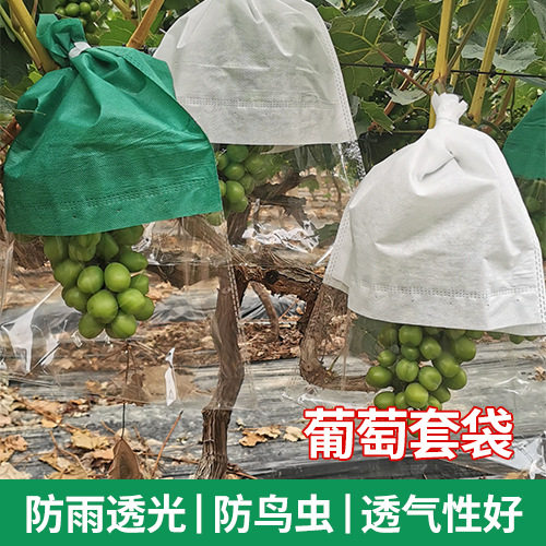 葡萄套袋玫瑰袋防雨防虫防鸟透气水果袋子可降解环保透气可降解