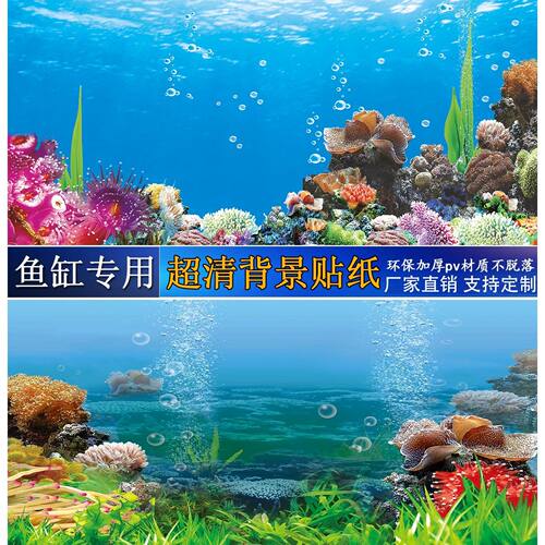 3d高清5d立体小水族箱金鱼贴纸画造景海洋景鱼缸背景贴纸海底世界