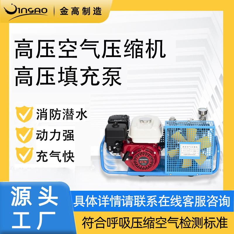高压正压式空气呼吸填充泵螺杆压缩机消防潜水气瓶充气泵空压机