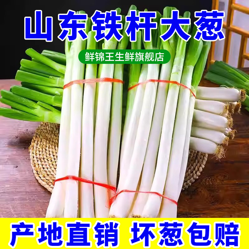 山东大葱新鲜5斤装甜葱铁杆大葱