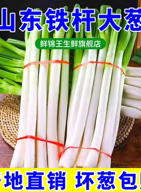 山东大葱新鲜5斤装甜葱铁杆大葱非章丘长白毛葱蘸酱嫩葱批发便宜