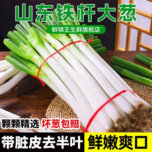 山东铁杆大葱新鲜甜葱非章丘长白