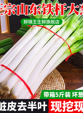 山东大葱新鲜5斤装甜葱铁杆大葱非章丘长白毛葱蘸酱嫩葱批发便宜