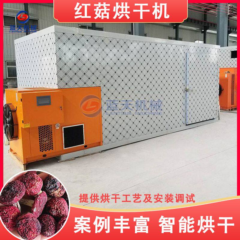 红菇烘干机 大型鲜菌蘑菇烘烤房 空气能香菇滑子菇烘干设备可定制