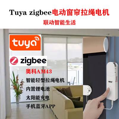 拉绳电机奥科AM43太阳能锂电