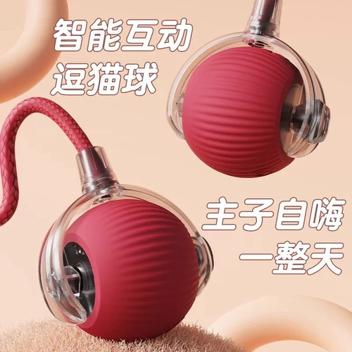 高性价比的宠物智能玩具