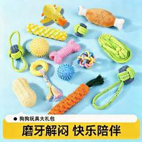 全网热销100W+狗狗玩具磨牙用品