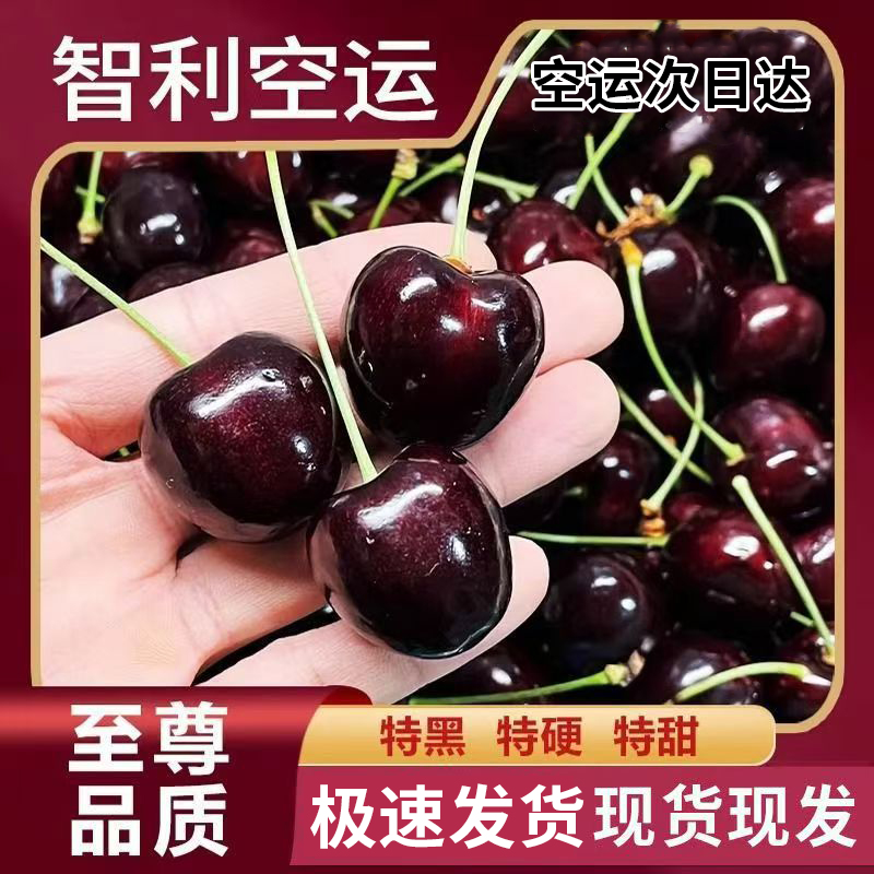 进口智利车厘子新鲜应季水果孕妇水果大樱桃果甜空运包邮现货速发