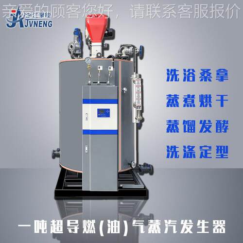 江导聚LSW1-0.0能超11吨燃油气浙蒸汽发生器 000KG免报检不结水垢