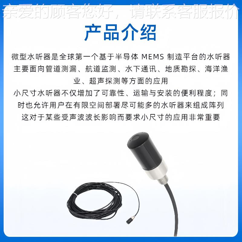 水 地下检测 高声S/NE-S&级测量海底震专用 微型探针水听器
