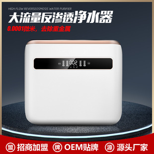 新款 反渗透纯水机400G600G800G无桶反渗透自来水过滤大流量纯水机