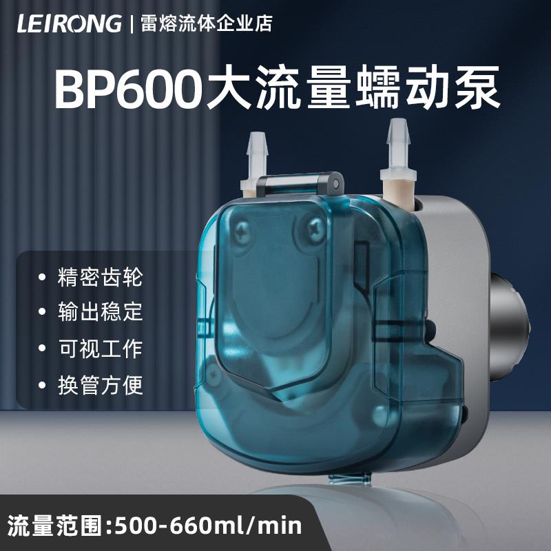 雷熔BP600有刷电机蠕动泵 微小型实验室循环自吸水泵灌装机立式
