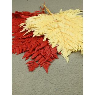 幻花永生花高山羊齿10片/包diy女生生日七夕杨子叶礼物芒叶材料