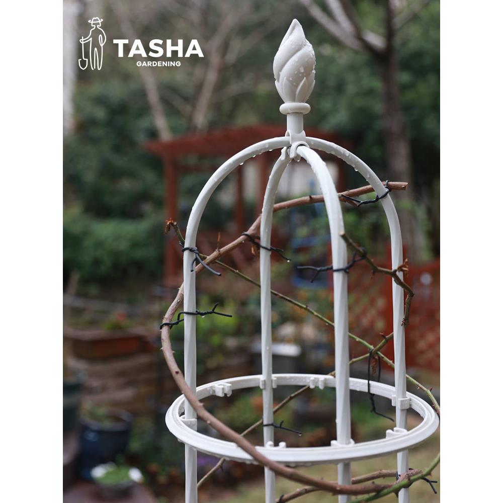 塔莎的花园 花架爬藤架铁线莲月季植物架子支架户外阳台藤架花架