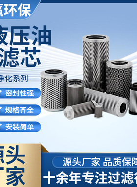 众赢环保 油除杂质润滑油液压保护过滤器滤芯1.01.NR1000.6VG