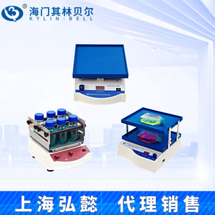 100 2000A 8S脱色摇床振荡器BETS 海门其林贝尔TS