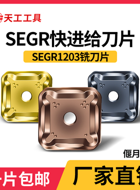 天工SEGR/SEMR1203数控刀片铸件不锈钢四方刀粒数控快进给铣刀片