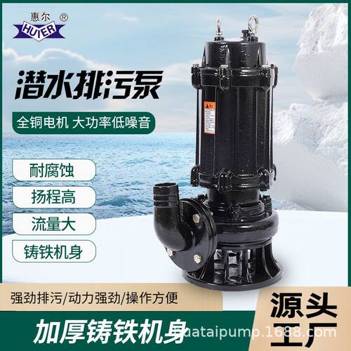 定制潜水排污泵搅匀雨水鱼塘养殖提升泵高扬程户外国标温岭水泵