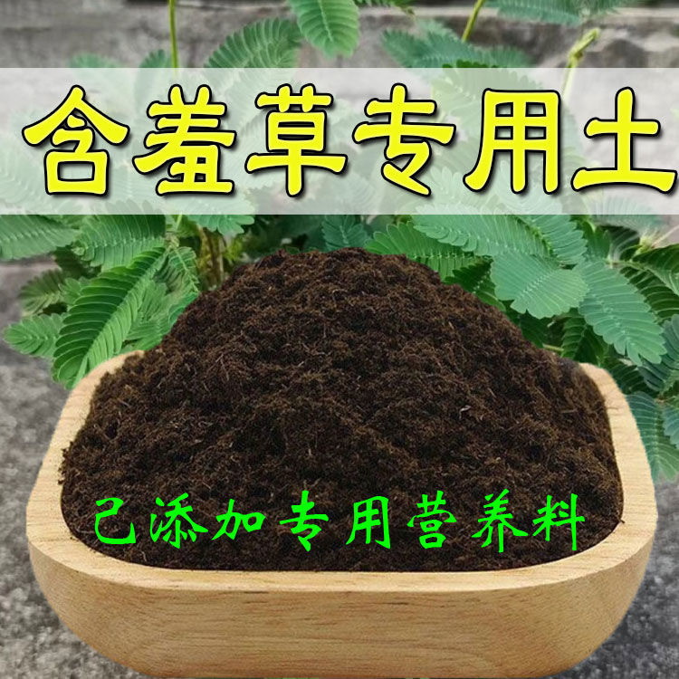 含羞草适用土营养土通用养花种绿植发酵育苗土盆栽有机肥透气疏松