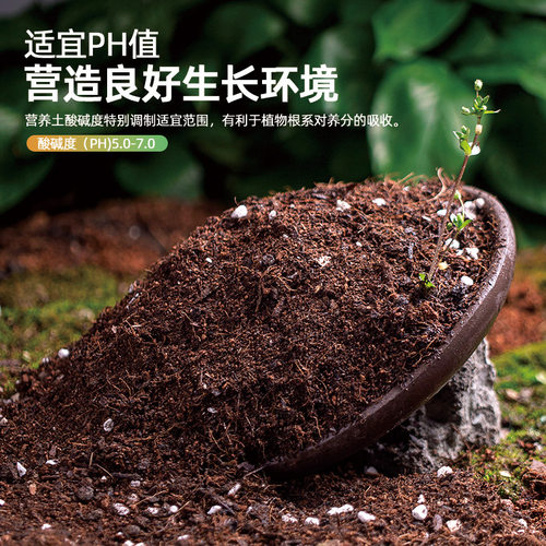 思威博营养土种花的土有机肥料泥炭椰糠精配营养通用种菜土壤