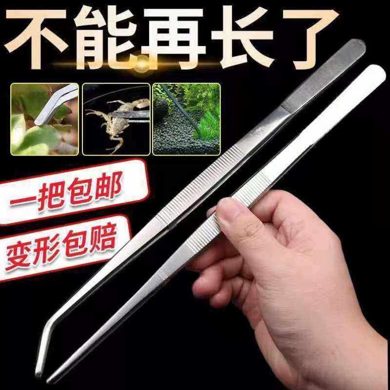 不锈钢直头弯头圆头加长镊子鱼缸水草昆虫多肉夹子工具大聂子捏子