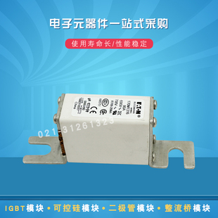 2050 2049 2051 2052 2054 快速熔断器保险丝170M2047 2053 2048