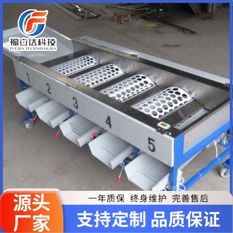 全自动滚筒分选机不锈钢分级机大蒜头柑橘筛选分级设备